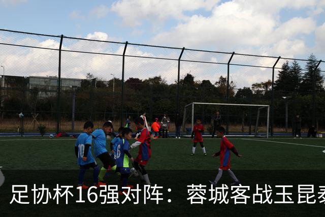足协杯16强对阵：蓉城客战玉昆泰山战三镇 国安遭遇中乙队